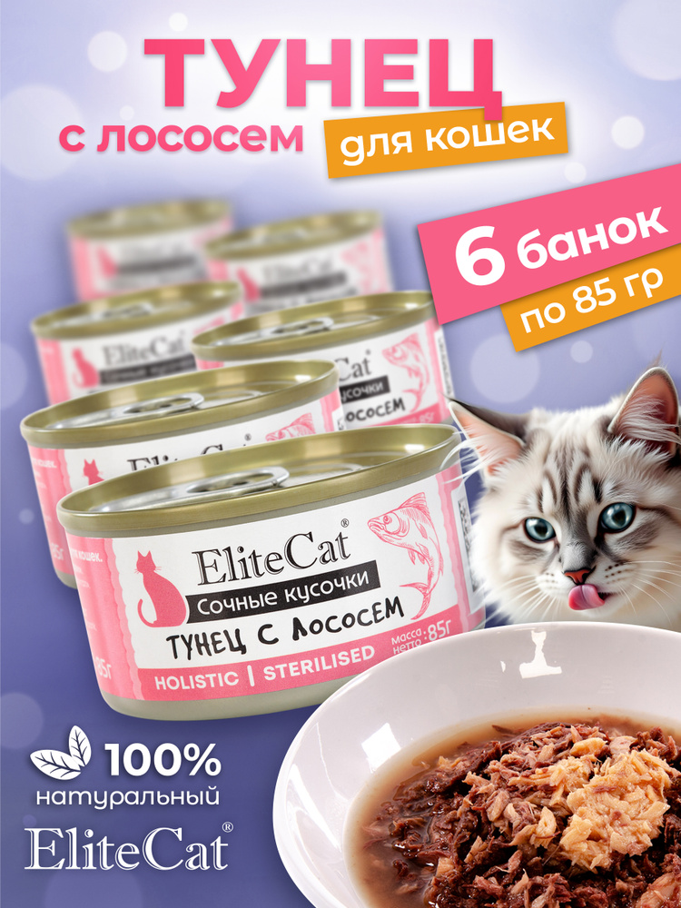 ELITECAT elitecat