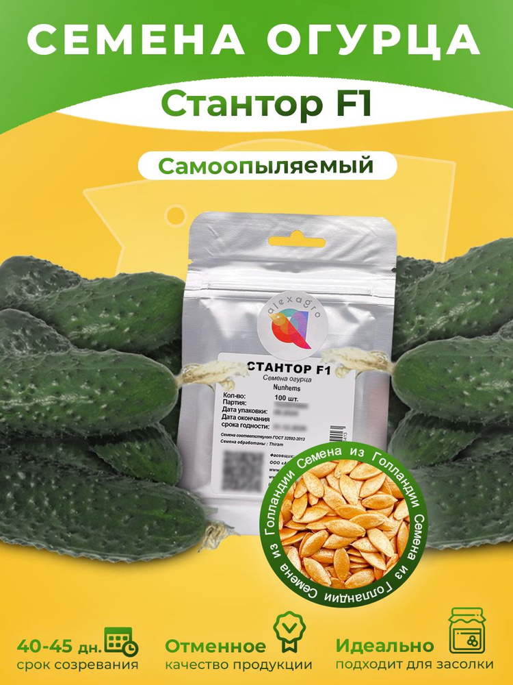 Стантор F1 семена огурцов самоопыляемых, 100 шт. (Nunhems / ALEXAGRO). Высокоурожайный, партенокарпический #1