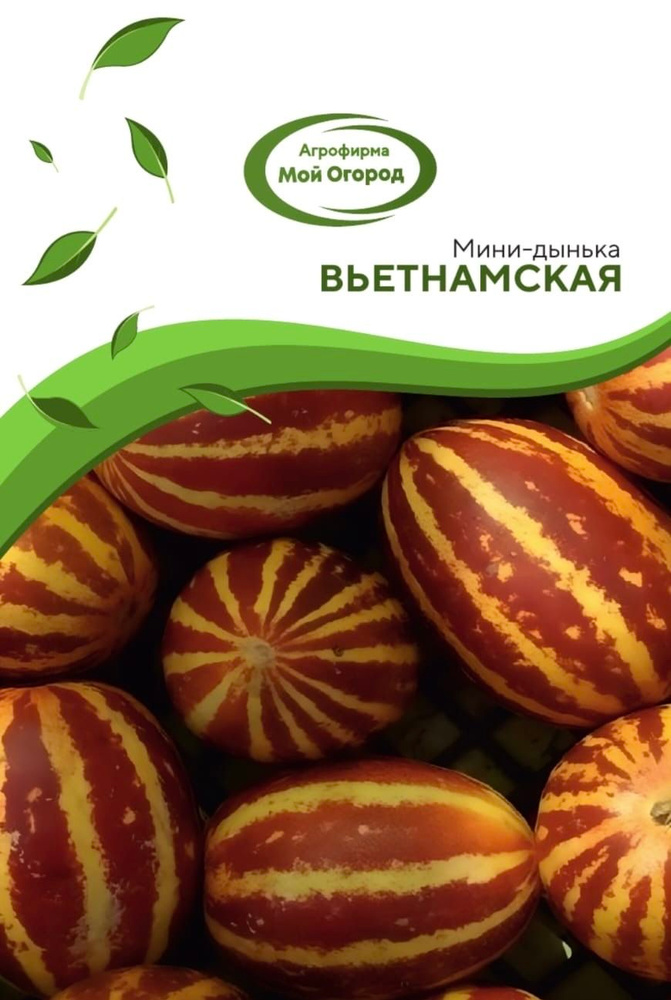 Мини Дыня Вьетнамская семена 5 шт #1