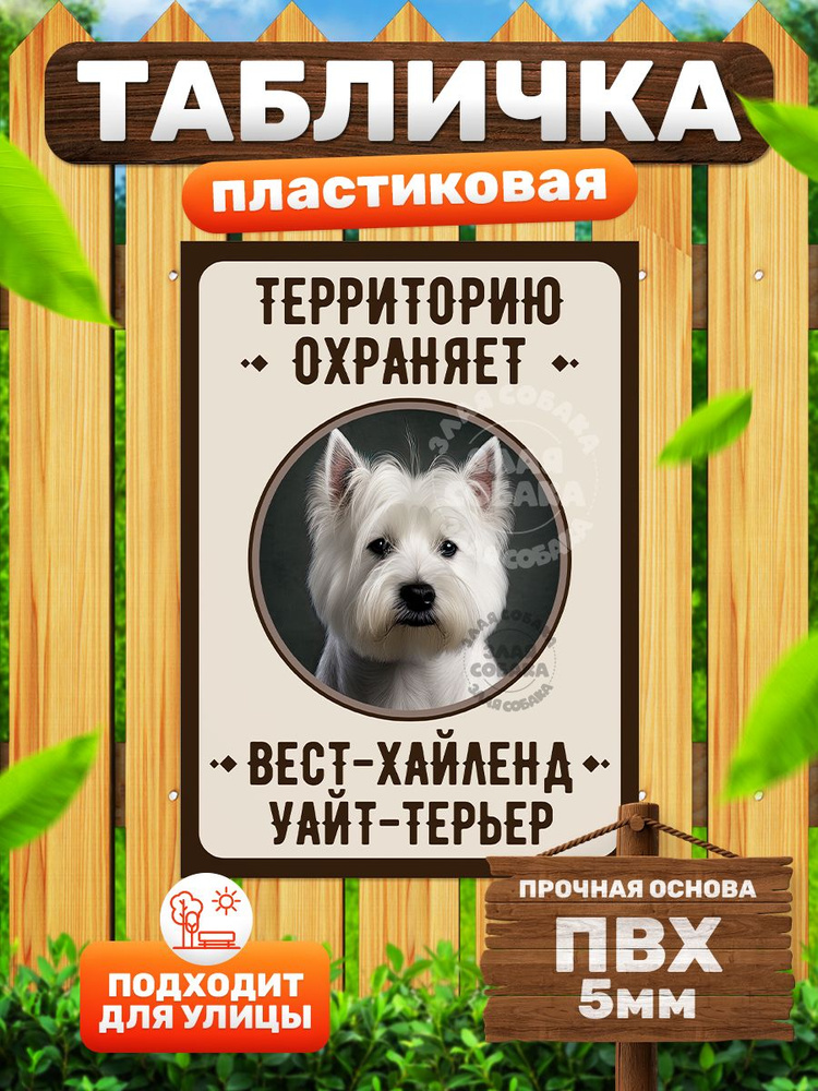 Табличка, Злая собака, Территорию охраняет Вест-хайленд уайт терьер, 18см х 25 см, на забор, на дверь #1