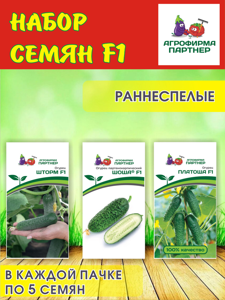 Семена набор огурцов #1