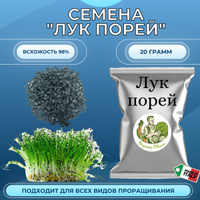 Проращиватели семян: какие бывают, для чего нужны спраутеры, а для чего мини-грядки