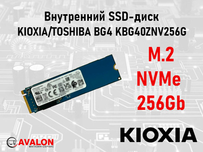 Kioxia M.2 2230 SSD купить на OZON по низкой цене