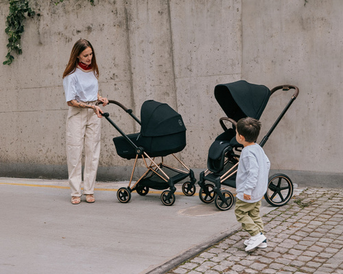 Cybex Priam Коляска 2 в 1, шасси Rose Gold/текстиль Sepia Black купить на  OZON по низкой цене в Армении (1646808347)