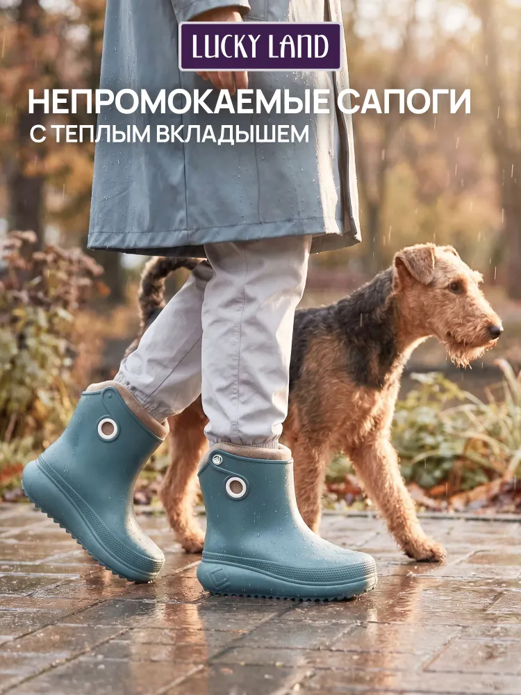 Сапоги резиновые Lucky Land, вариант