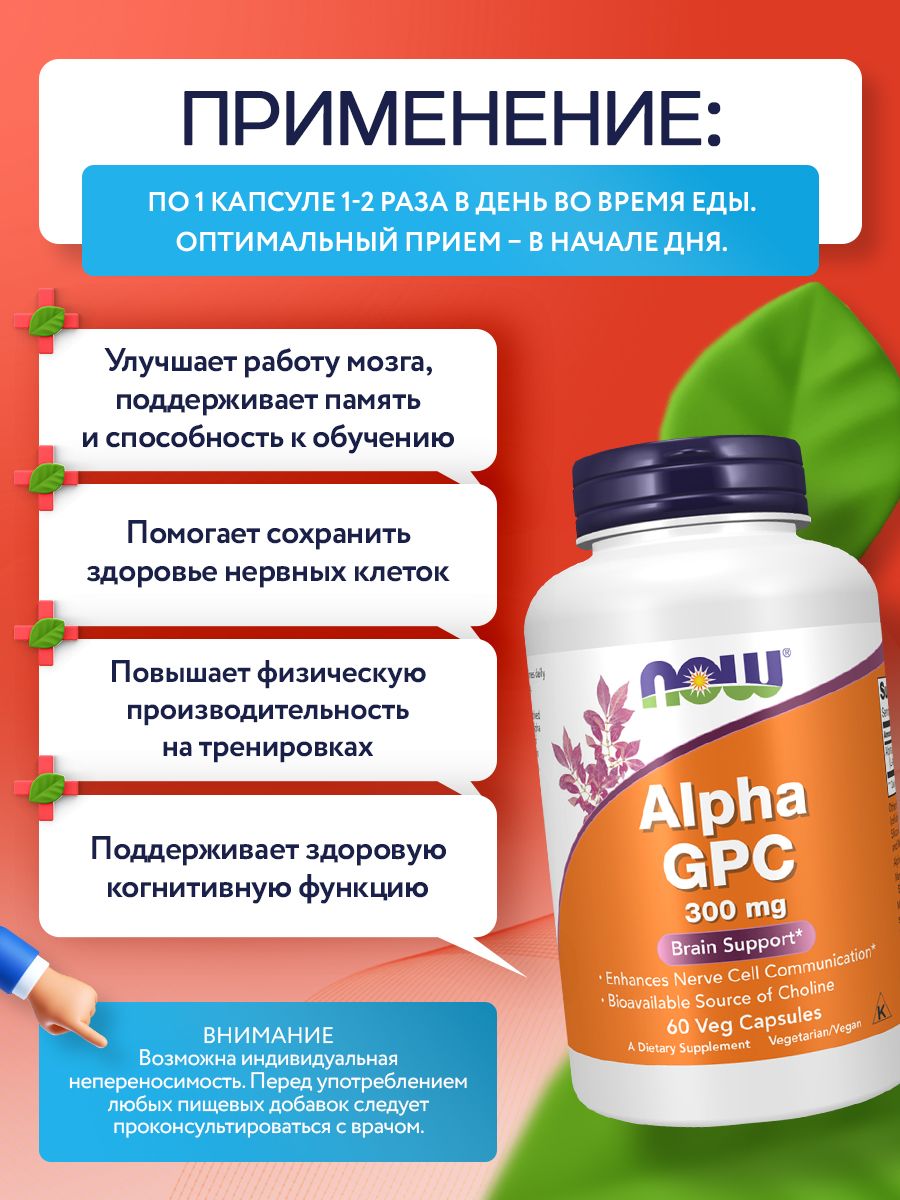 Now, Alpha GPC 300 мг, 60 капсул