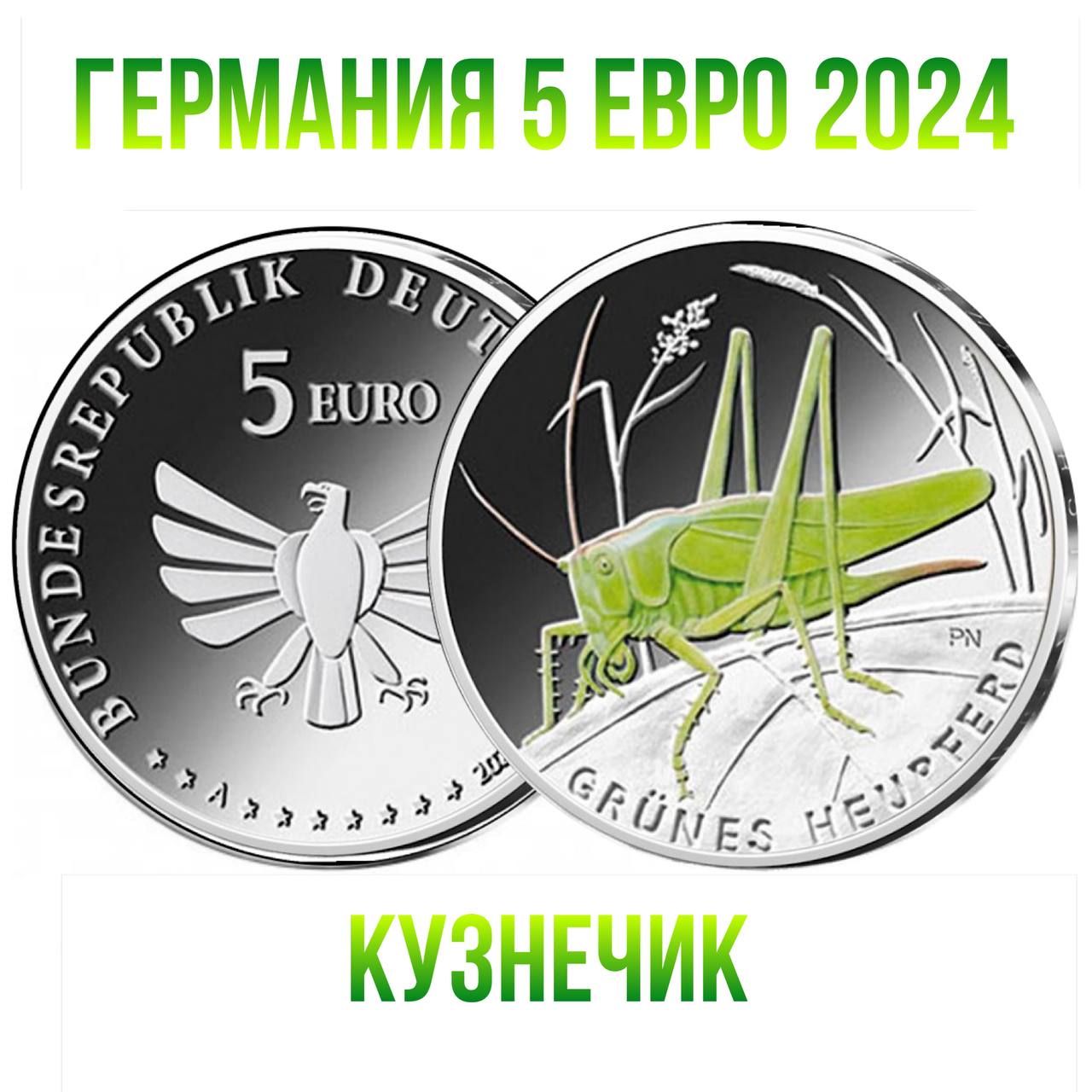 Германия 5 евро 2024 