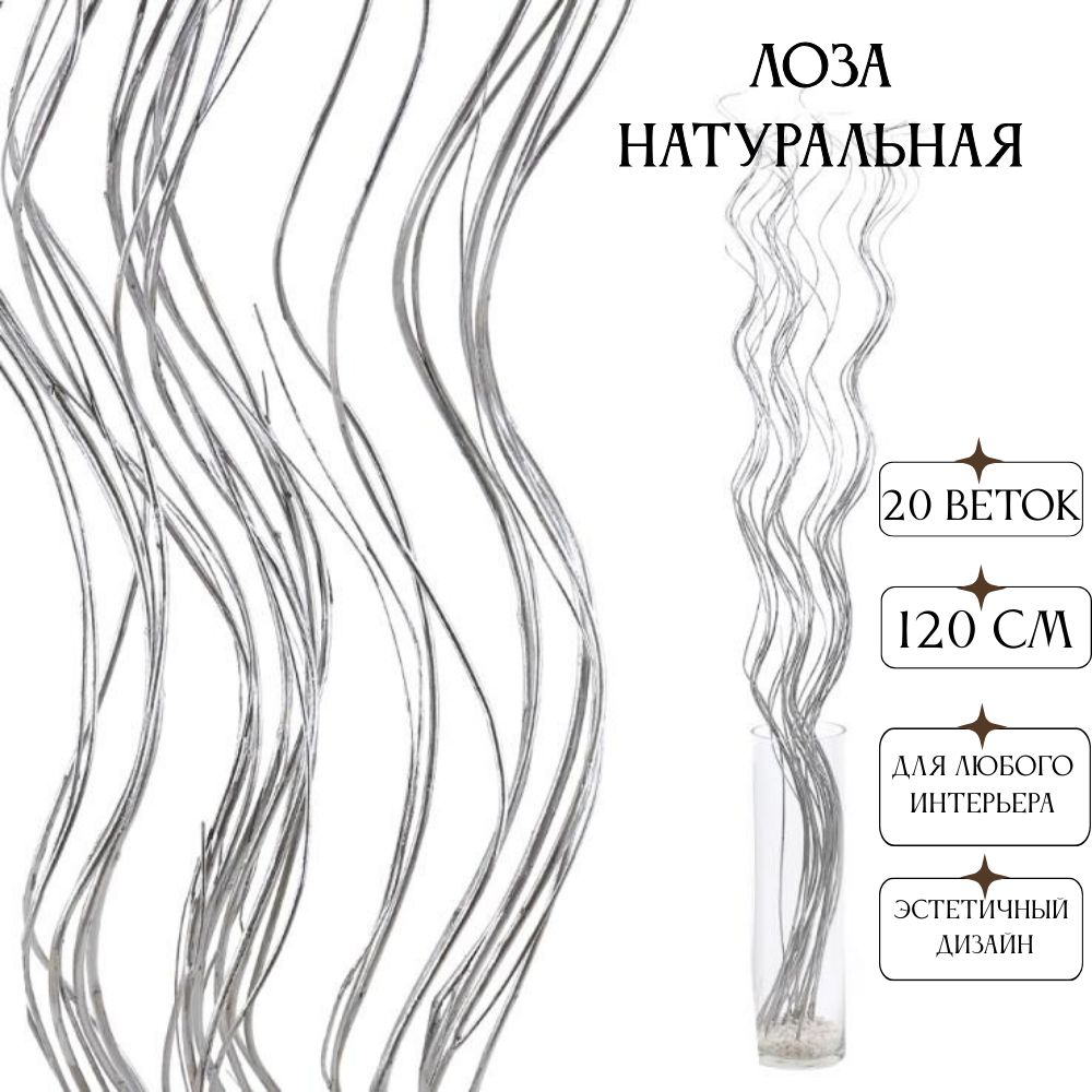 Сухоцветнабордекоративныхветок20штук120смсеребристый