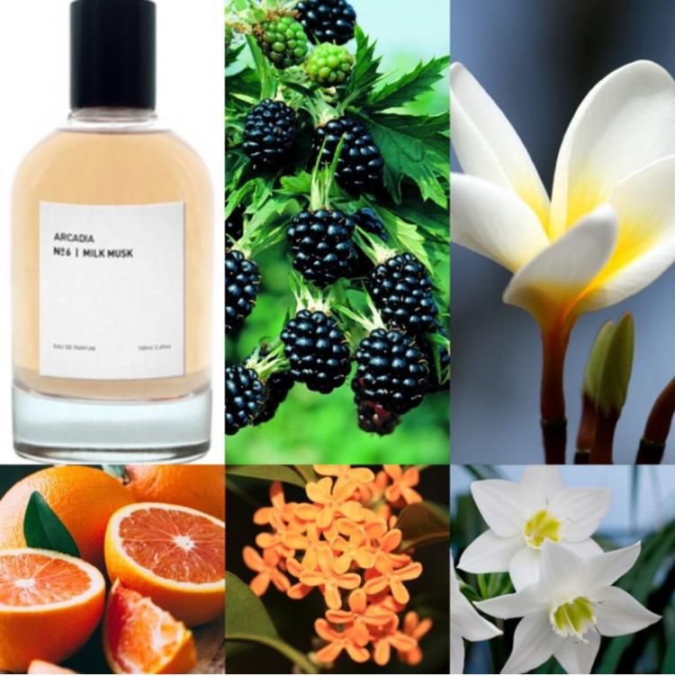ARCADIA No.6 Milk Musk 100 мл парфюмерная вода унисекс фото 2