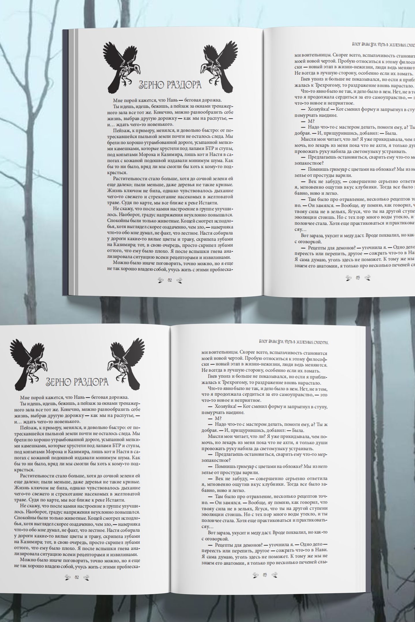 Блог Бабы Яги 3. Путь в железных сапогах | Baba Yaga's Blog 3: The Path in Iron Boots - Ozon image 5