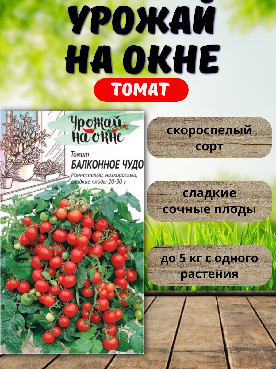 СеменатоматаБалконноечудо,дляподоконникаибалкона,Гавриш