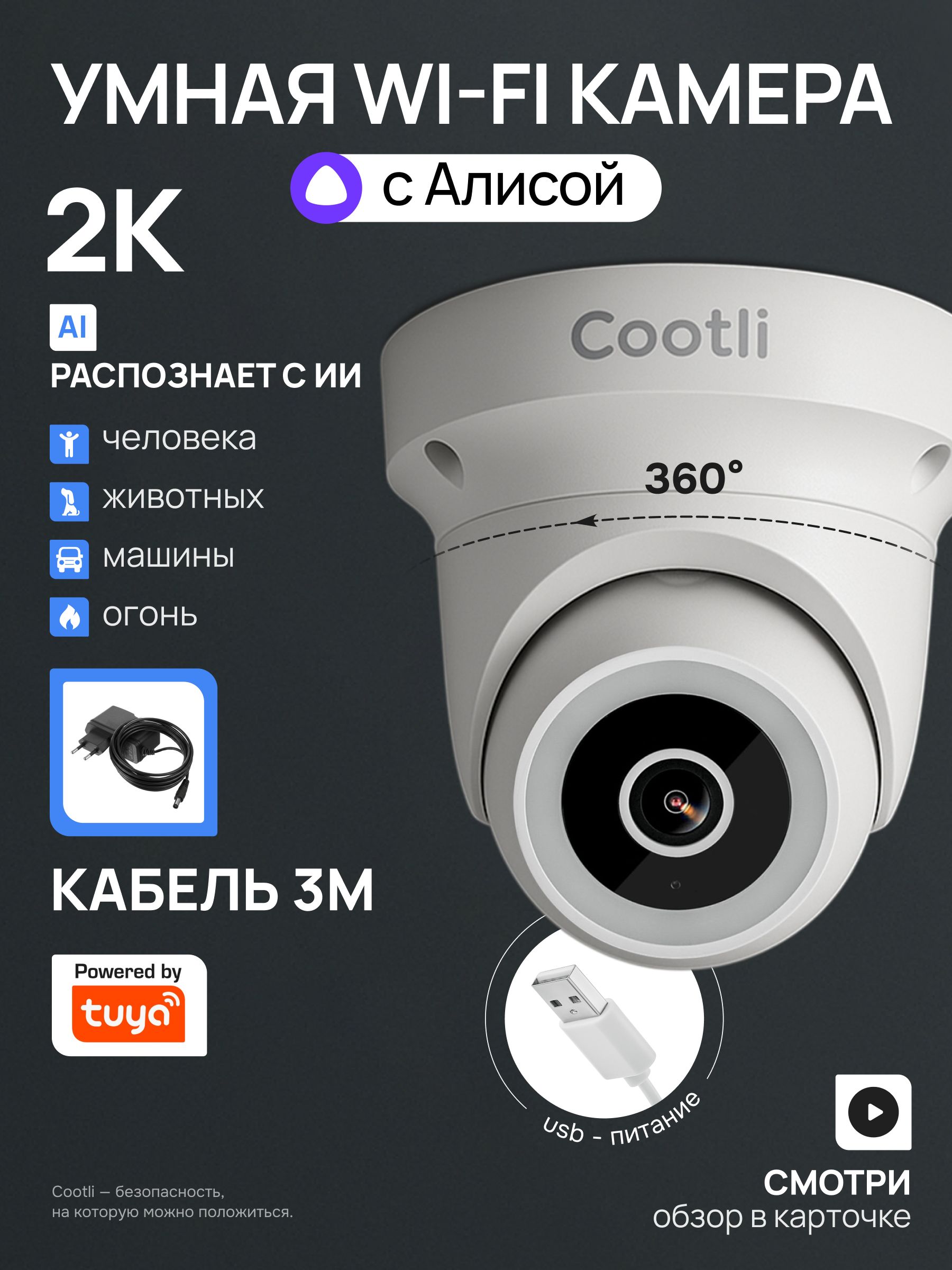 КамеравидеонаблюденияWIFIуличная2Ккупольная,умнаясЯндексАлисой(CI-OIDWF242)