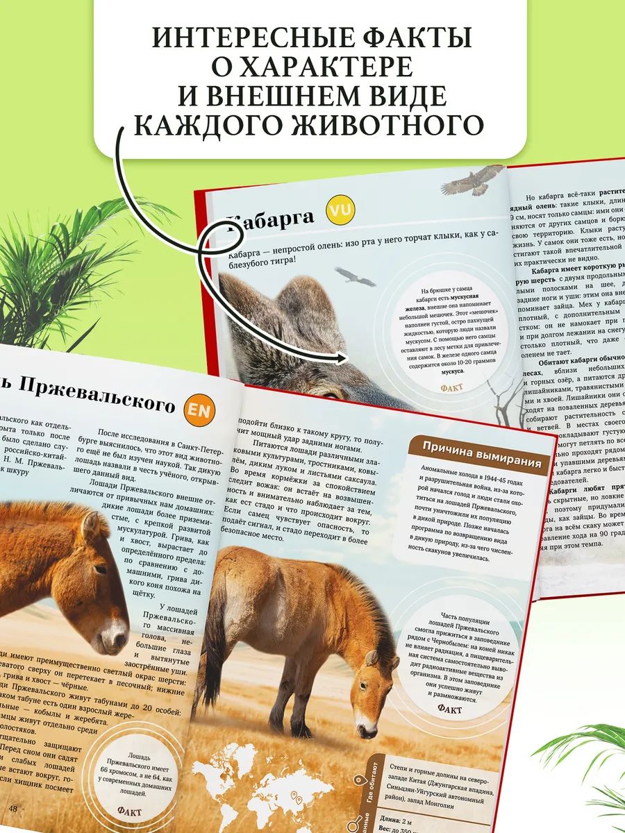 Энциклопедия для детей 7+, Буква-Ленд, "Красная книга мира", книги для детей | Encyclopedia for Children 7+, "Red Book of the World" - Ozon image 6
