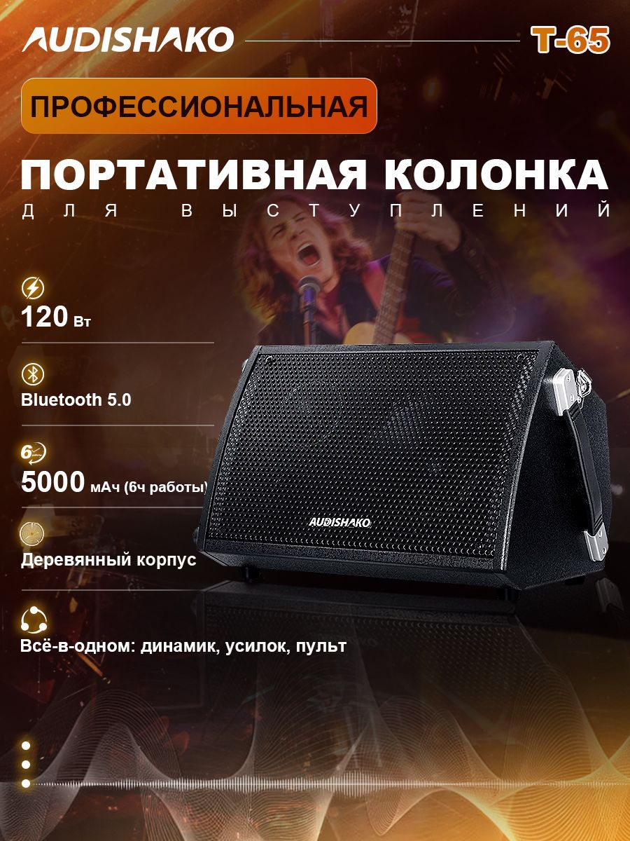 Портативная аккумуляторная колонка Audishako T-65 с Bluetooth, пиковая мощность 120 Вт, RMS 60 Вт, 6 дюймов и 3 дюйма, батарея 5000 мАч, для гитары и микрофона, караоке, уличные выступления