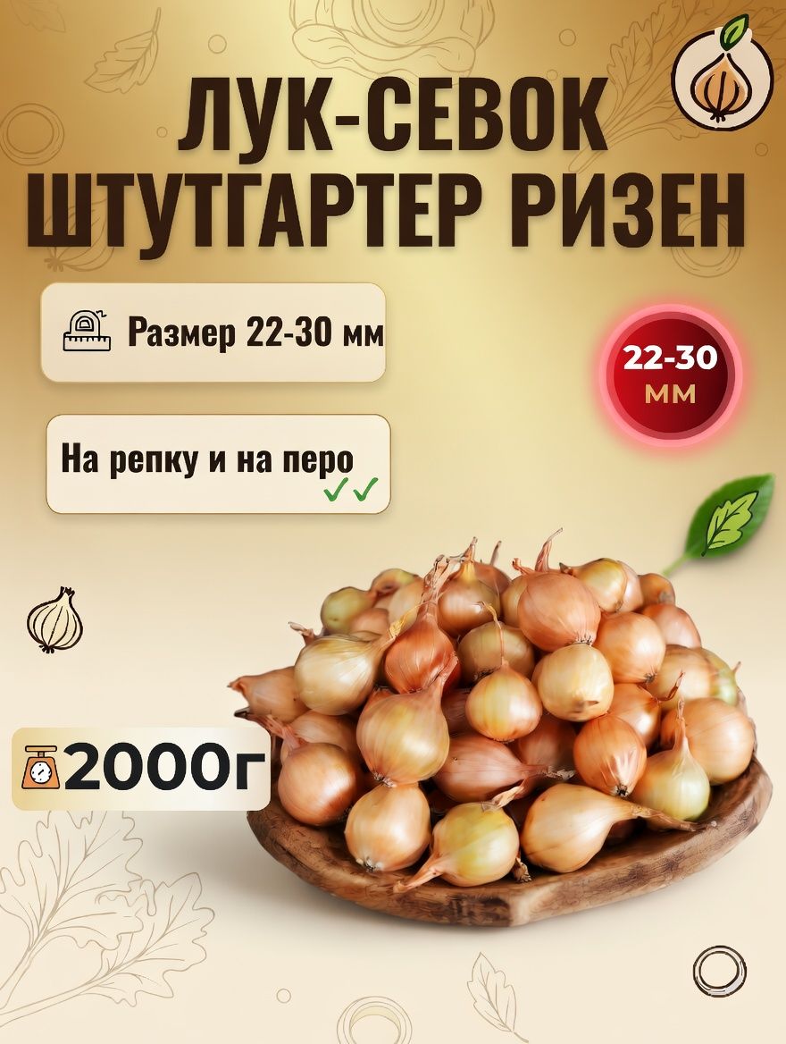 ЛуксевокШтуттгартерРизен2кг(22-30мм)