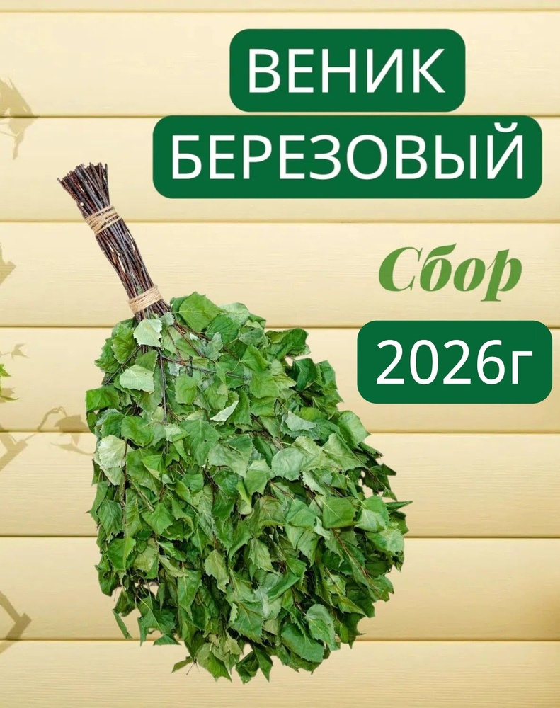 Веник для бани Березовый, 1 шт. #1