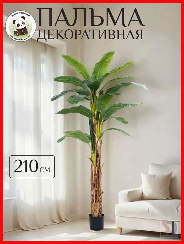  1 OZON 