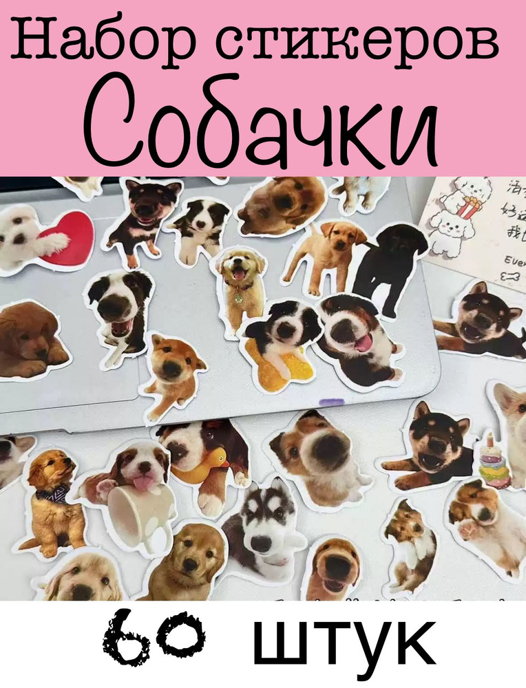 Стикеры #1
