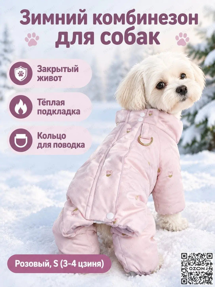 Одежда для животных #1