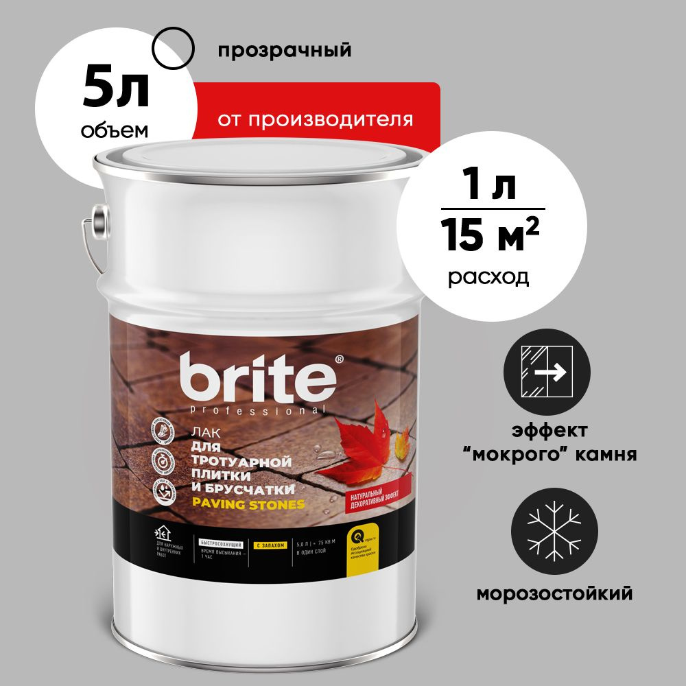 Лак строительный Brite, основа Сополимерная дисперсия, работы Наружные,  Внутренние - купить по выгодной цене в интернет-магазине OZON (1073991914)