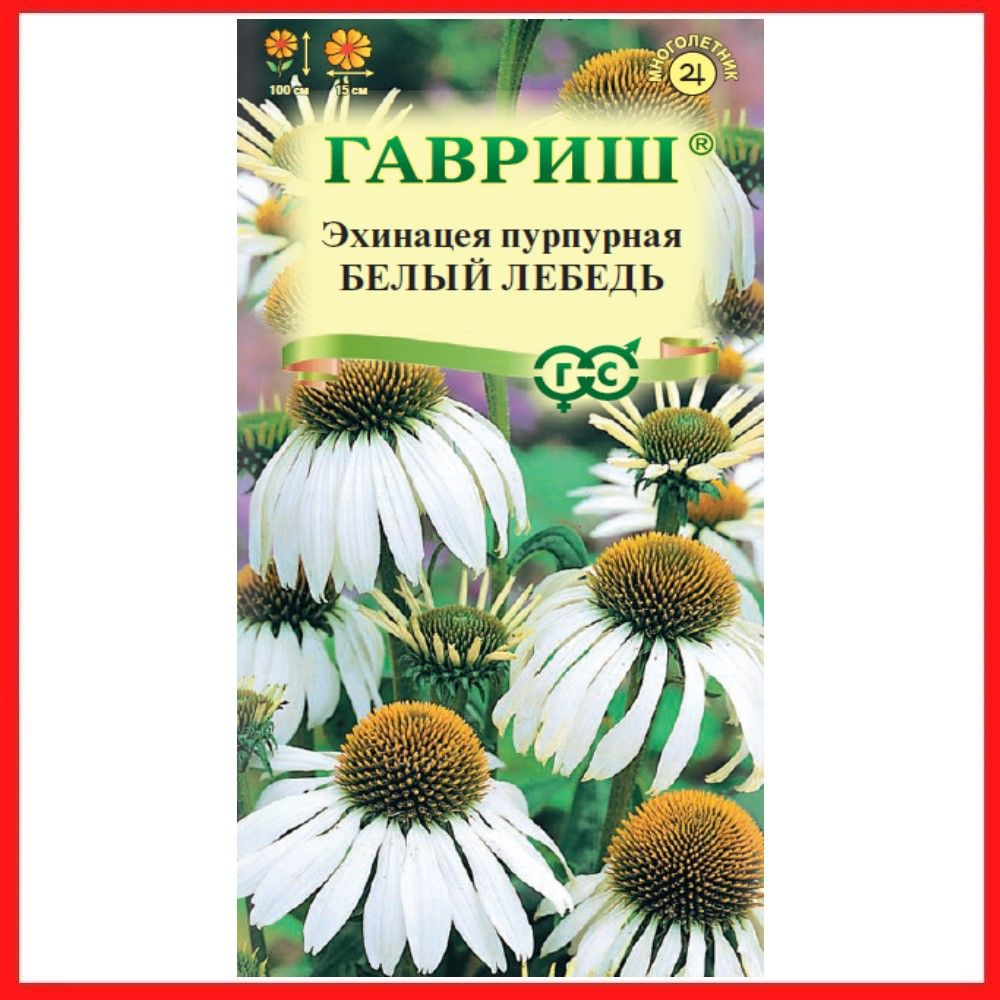 Семена Эхинацея пурпурная "Белый лебедь" 0,1 гр, многолетние декоративные лекарственные травы, для дома, #1