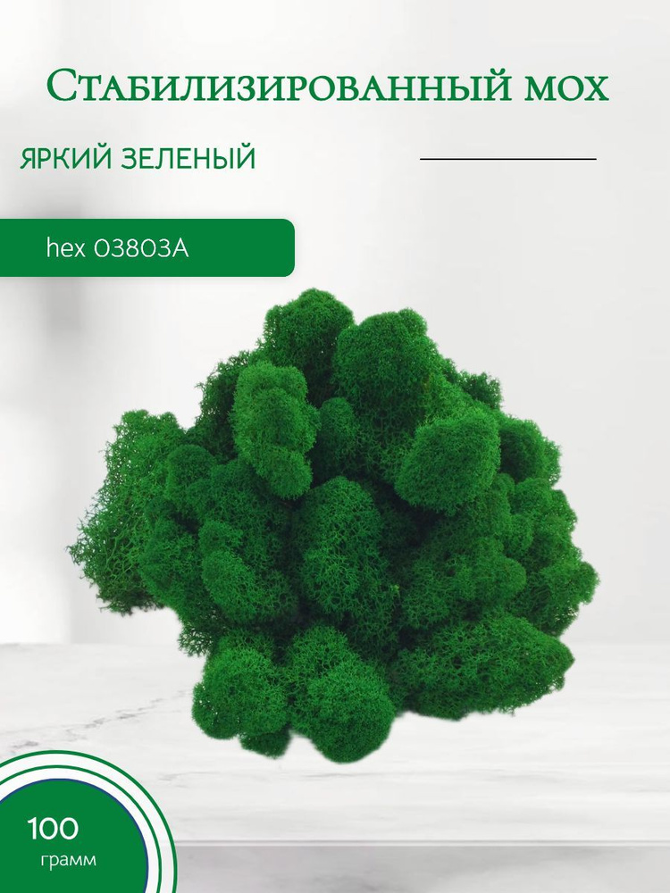 Стабилизированный мох перламутрово-зелёный 100 грамм #1