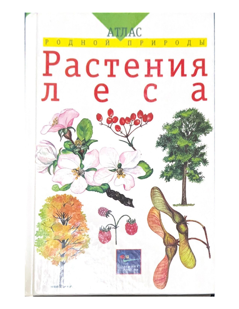 Растения леса(атлас родной природы) - купить с доставкой по выгодным ...