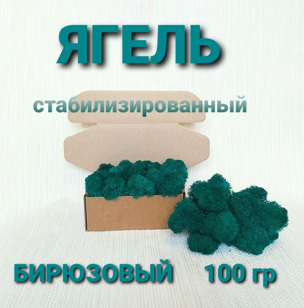 Стабилизированный мох, 100 гр #1