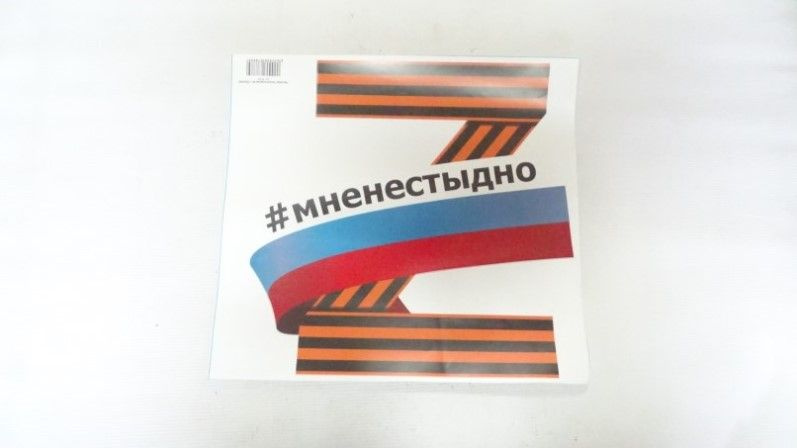 Наклейка Патриотическая № 1 (320х300) 1 шт #1