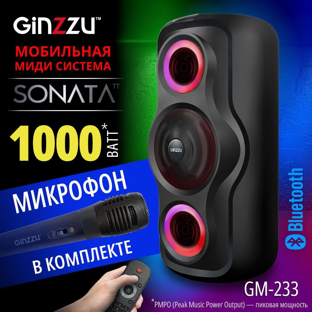 Беспроводная колонка Ginzzu GM-202 - купить по доступным ценам в  интернет-магазине OZON (1472392109)