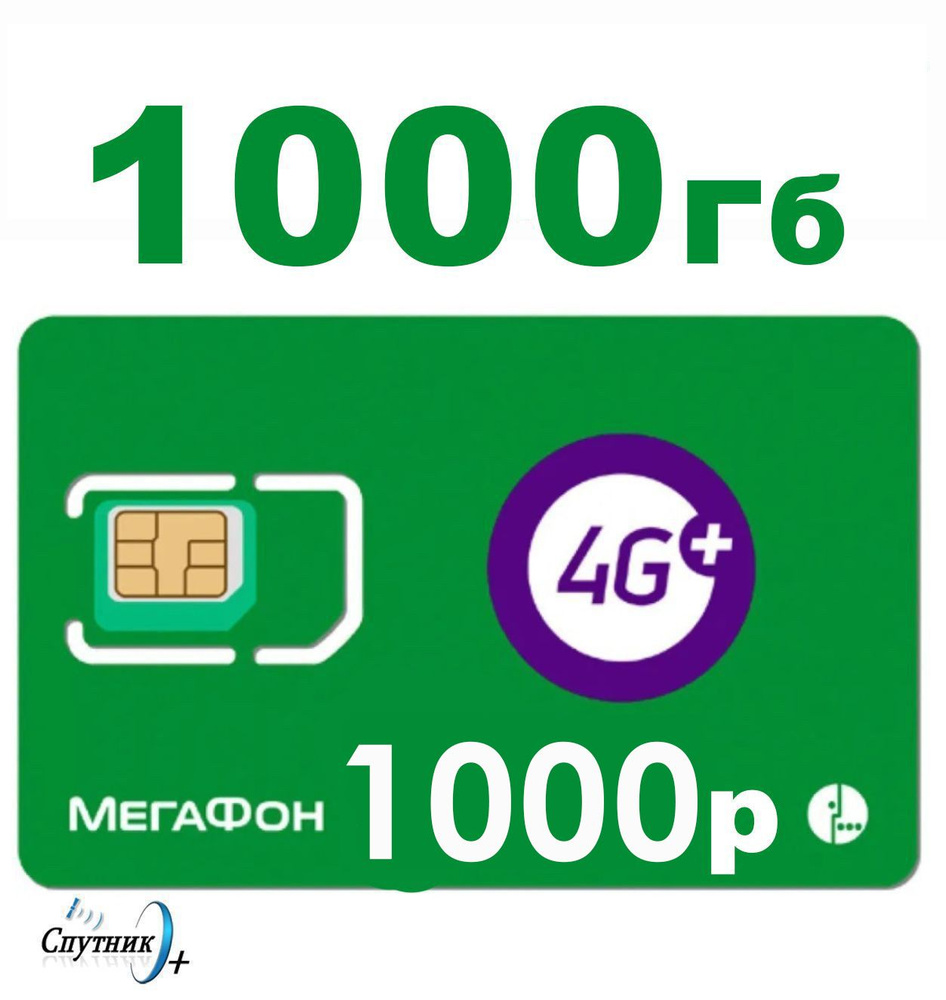 SIM-карта Мегафон 1000р/мес 1Тб Интернет в частный дом - купить с доставкой  по выгодным ценам в интернет-магазине OZON (1275803236)