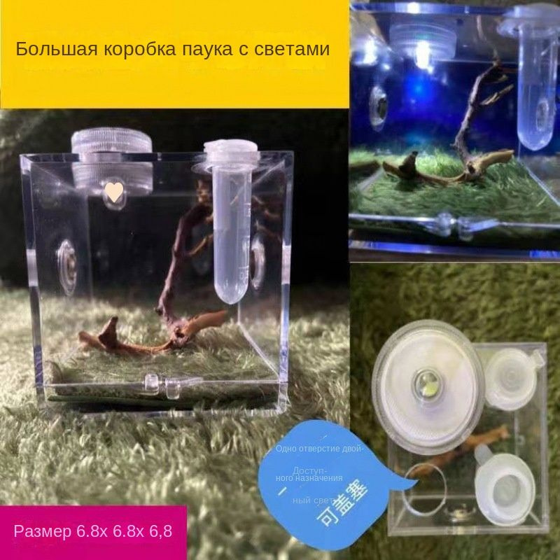 Маленький террариум для маленьких рептилий, подходит для содержания ...