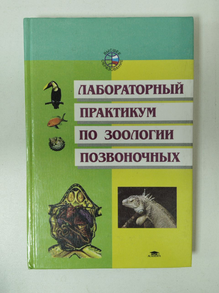 Лабораторный практикум по зоологии позвоночных | Константинов Владимир ...