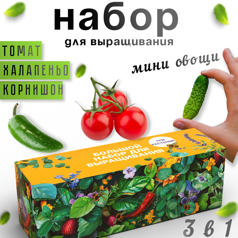 Набор для выращивания Plant Republic, Томаты, Огурцы, Многолетник купить по  выгодной цене в интернет-магазине OZON (1580240172)