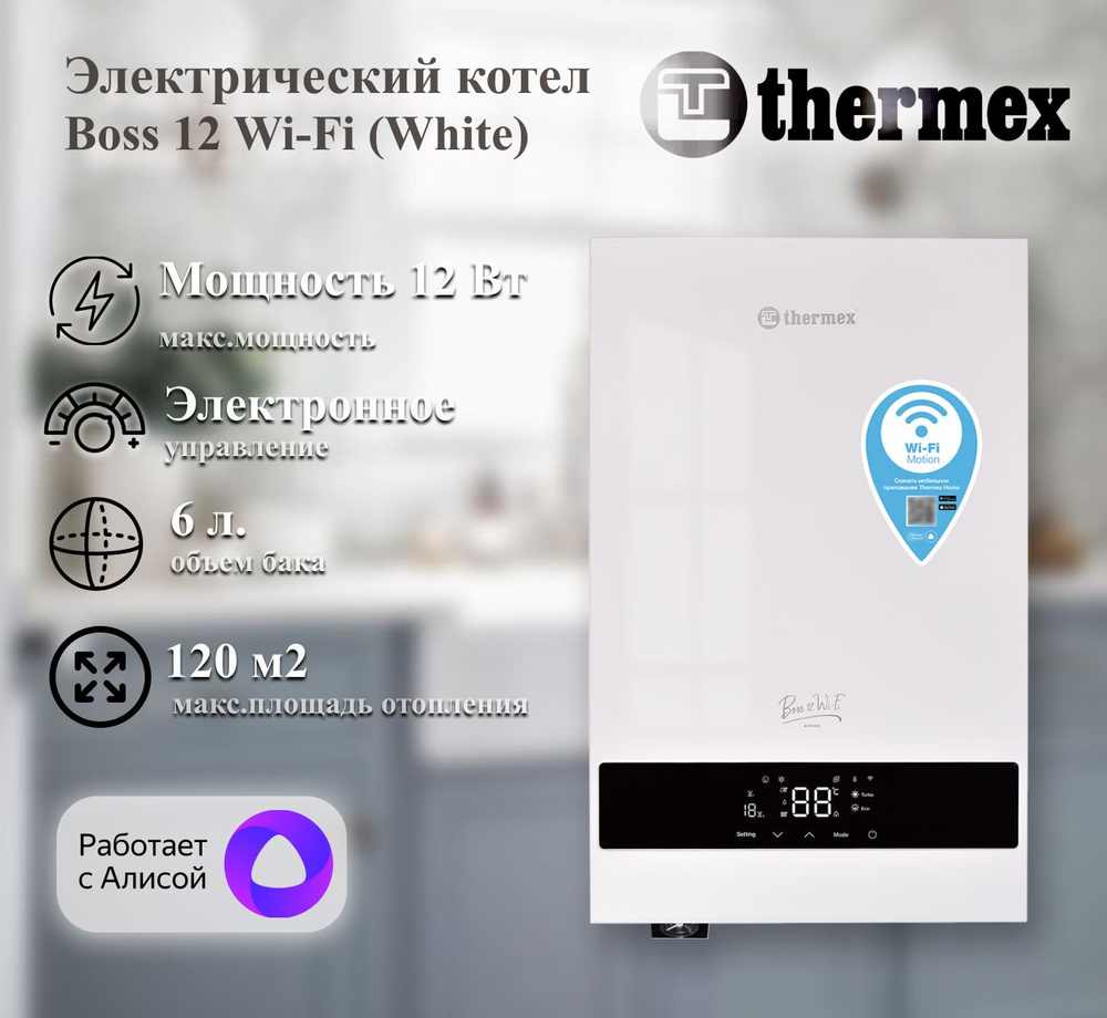 Электрический настенный котел THERMEX Boss 12 Wi-Fi (White)