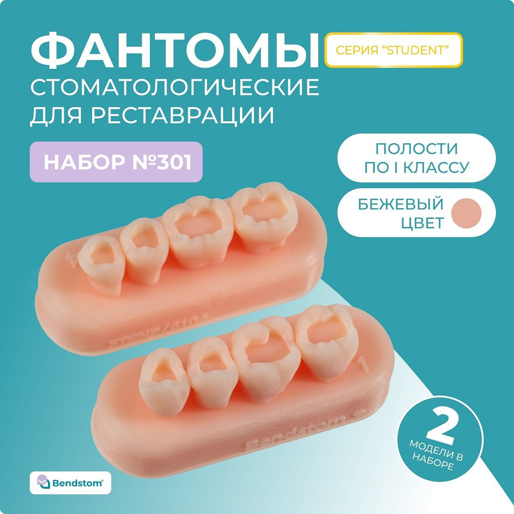 Набор №301 жевательные блоки Student (2 штуки) препарированные по I ...