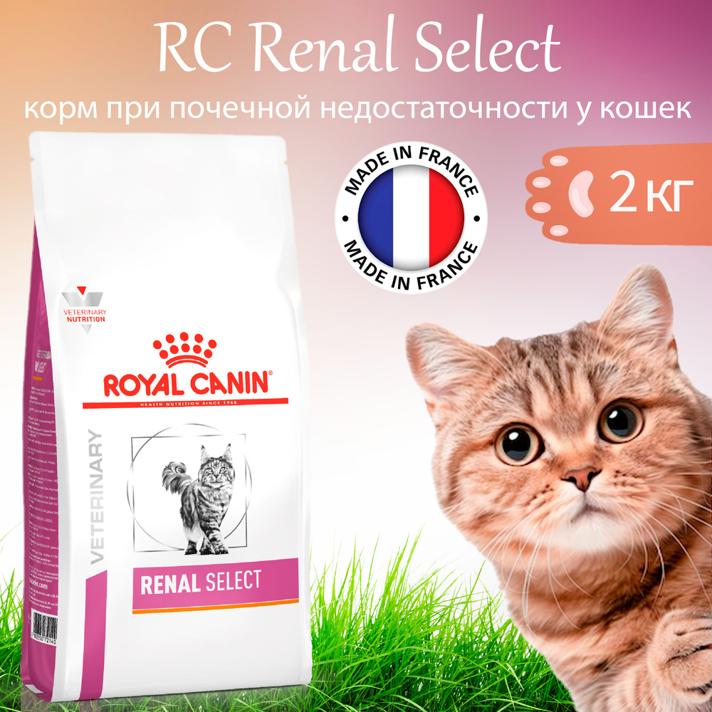 Royal Canin Renal Select 2 кг сухой диетический корм для кошек, при острой или хронической почечной недостаточности #1