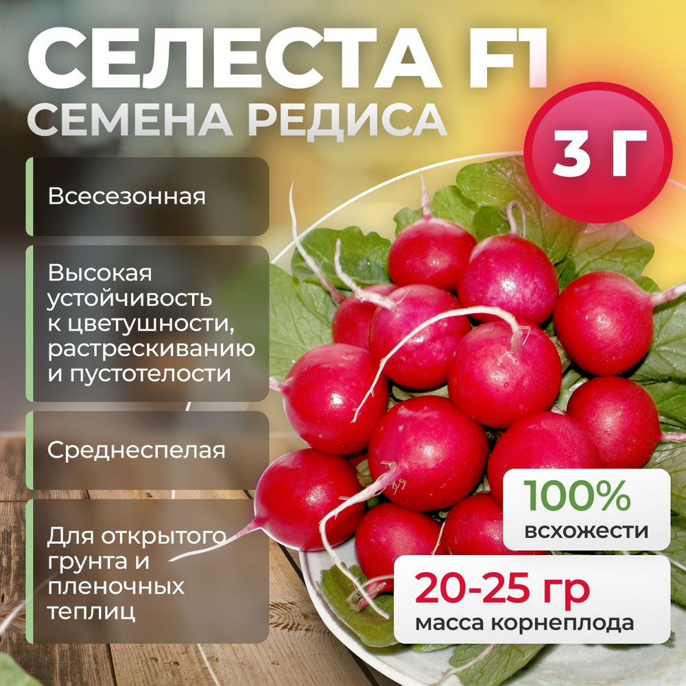 Селеста F1 семена редиса, 3 гр. (Enza Zaden / ALEXAGRO). Высокоурожайный гибрид для открытого грунта #1