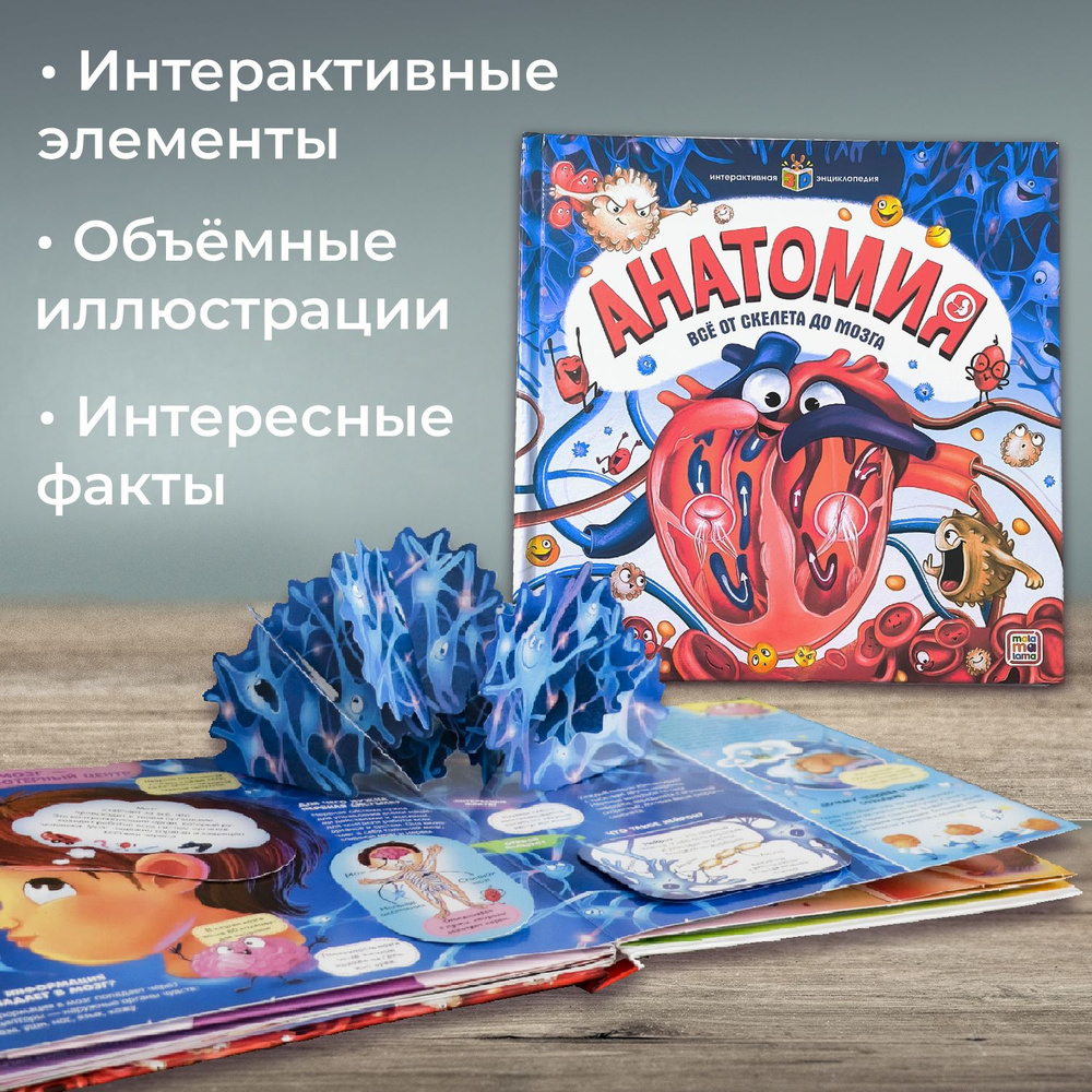 Объемные Книги