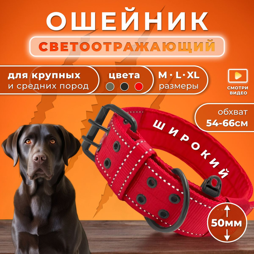 Ошейник для собак крупных пород/ Ошейник для больших собак Doggy&Dog Shop