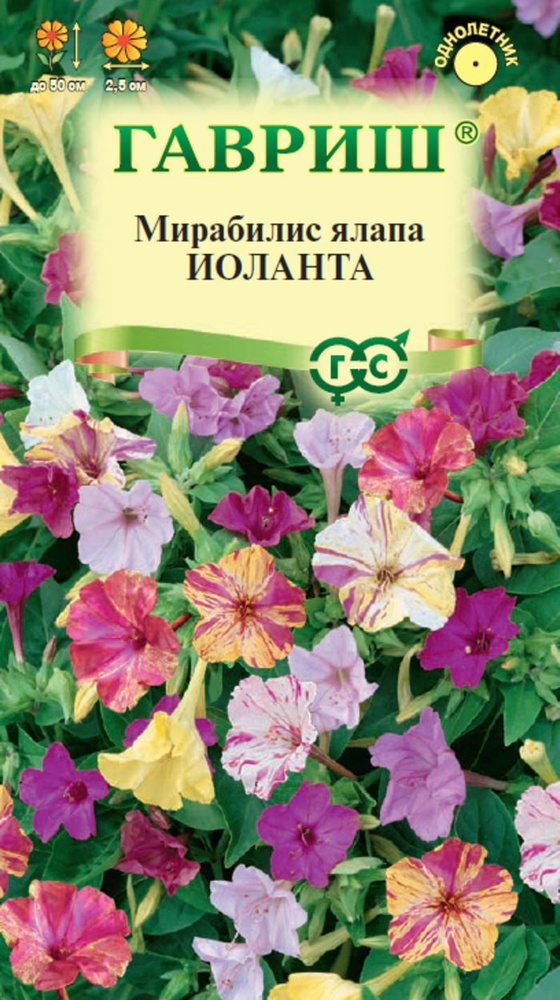 Семена Мирабилис Иоланта 1,0 г #1