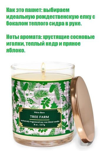 Bath And Body Works ароматическая свеча с 1 фитилем Tree Farm (227грамм)  #1