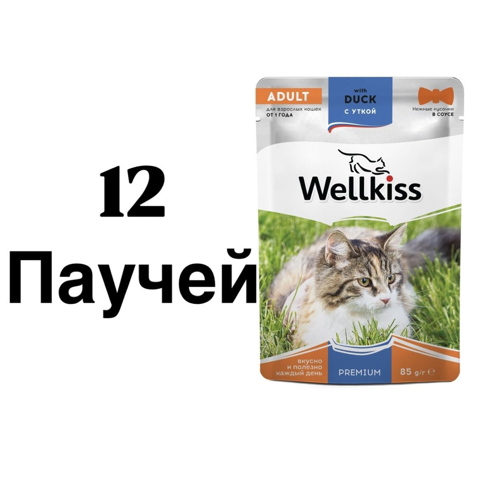 12 ШТ. Wellkiss Adult Влажный корм (пауч) для кошек, с уткой в соусе, 85 гр.  #1