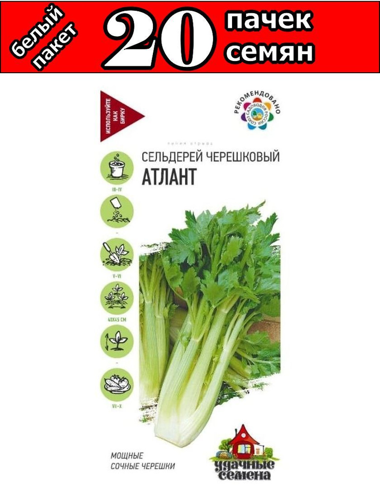 Сельдерей Атлант черешковый 0,1г Ср (Гавриш) Белый пакет 20/800 #1