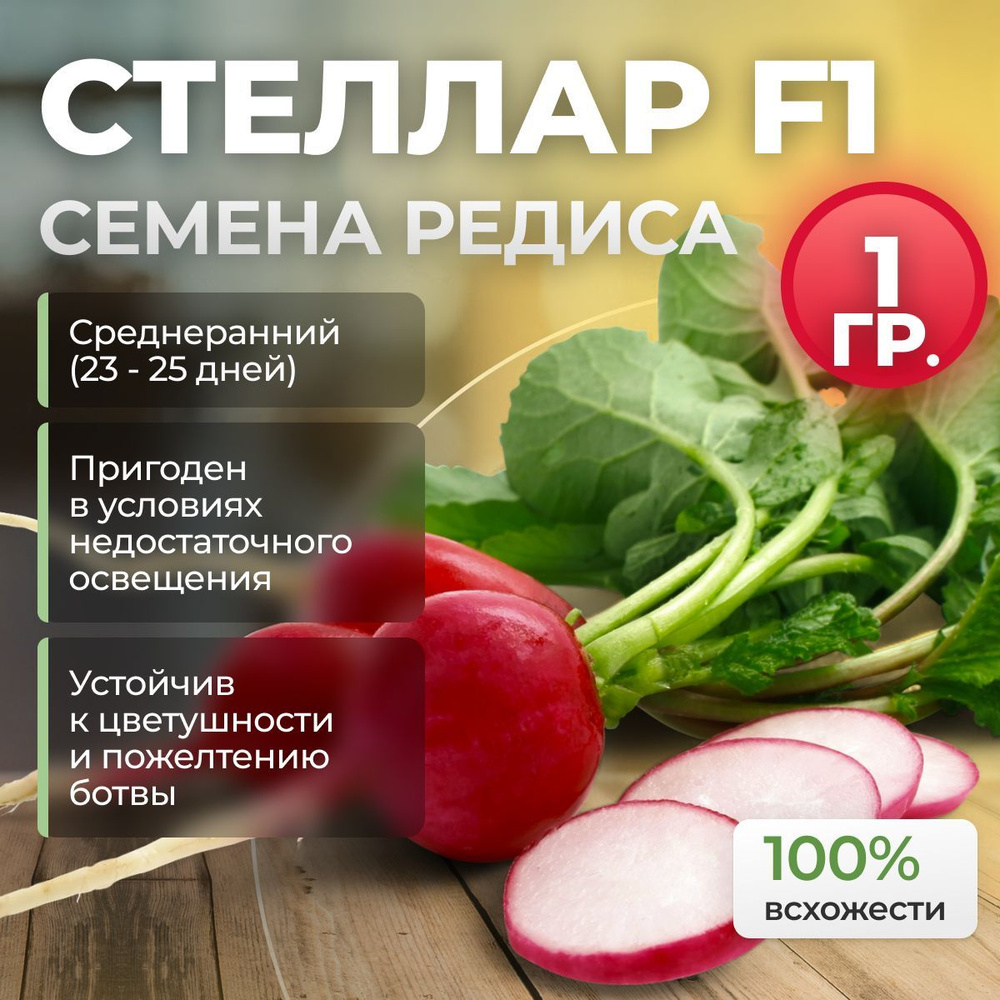 Стеллар F1 семена редиса среднераннего, 1 гр. (Syngenta / ALEXAGRO). Высокоурожайный гибрид для открытого #1