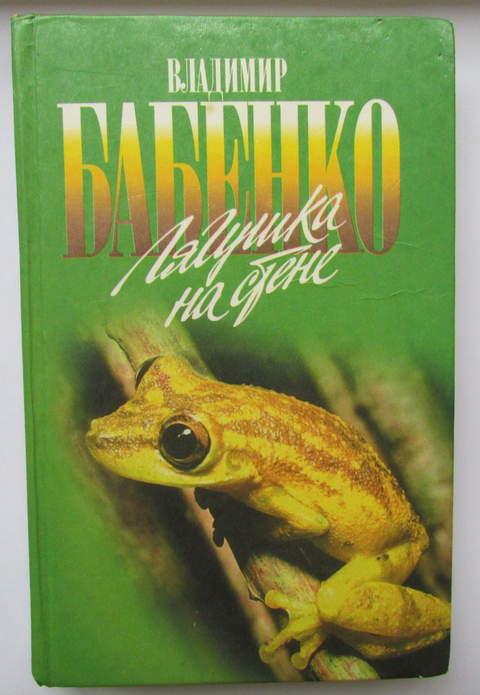 Лягушка на стене | Бабенко В. #1
