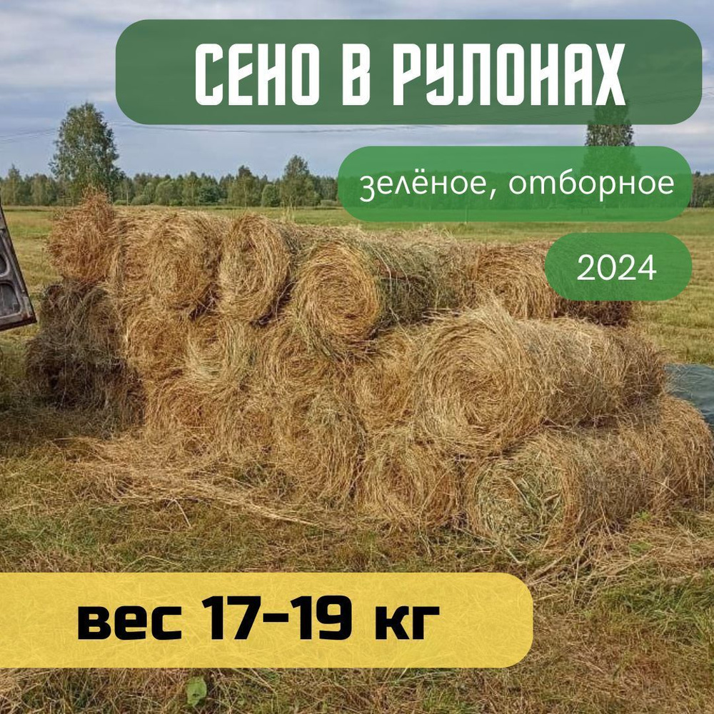 Сено луговое, рулон 17-19 кг, отборное, зеленое для грызунов и других домашних животных  #1