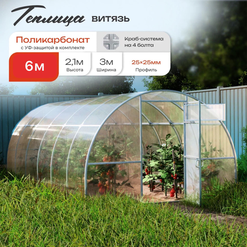 Теплица Арочная Витязь 3*6м.,оцинкованный каркас 25*25.С Поликарбонатом #1