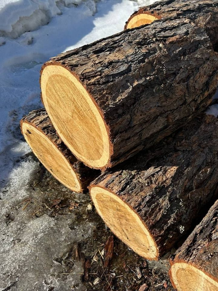 Медициналық БДСМ порно