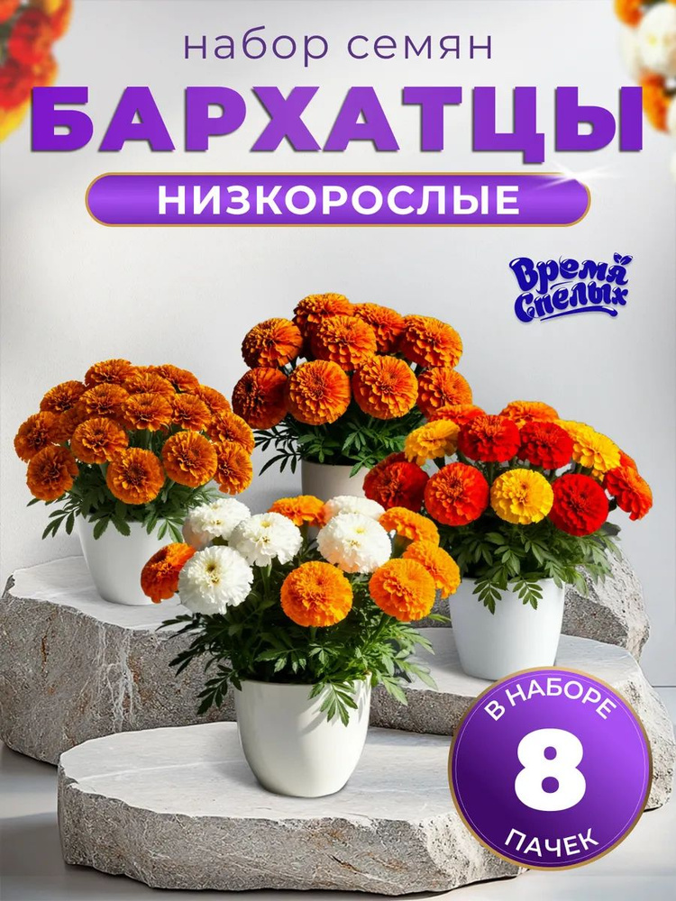 Бархатцы семена низкорослые #1
